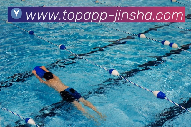 金沙国际平台生态图