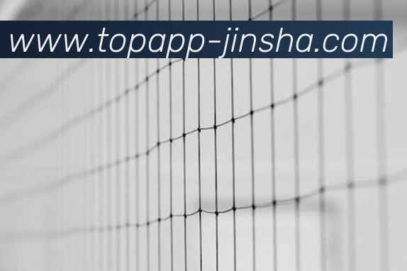 App 展示图
